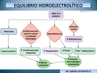 EQUILIBRIO HIDROELECTROLÍTICOEQUILIBRIO HIDROELECTROLÍTICO
DR. SERGIO CIFUENTES G.DR. SERGIO CIFUENTES G.
 