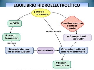 EQUILIBRIO HIDROELECTROLÍTICOEQUILIBRIO HIDROELECTROLÍTICO
DR. SERGIO CIFUENTES G.DR. SERGIO CIFUENTES G.
 