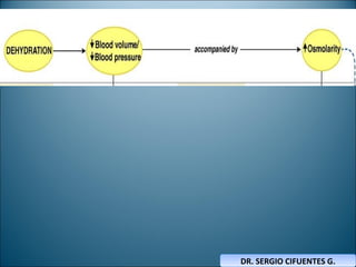 EQUILIBRIO HIDROELECTROLÍTICOEQUILIBRIO HIDROELECTROLÍTICO
DR. SERGIO CIFUENTES G.DR. SERGIO CIFUENTES G.
 