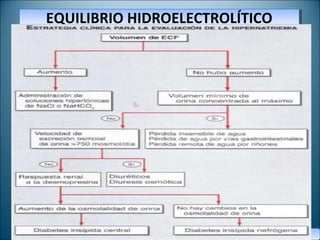 EQUILIBRIO HIDROELECTROLÍTICOEQUILIBRIO HIDROELECTROLÍTICO
DR. SERGIO CIFUENTES G.DR. SERGIO CIFUENTES G.
 