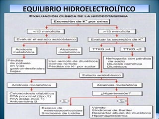 EQUILIBRIO HIDROELECTROLÍTICOEQUILIBRIO HIDROELECTROLÍTICO
DR. SERGIO CIFUENTES G.DR. SERGIO CIFUENTES G.
 