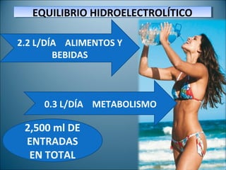 EQUILIBRIO HIDROELECTROLÍTICOEQUILIBRIO HIDROELECTROLÍTICO
DR. SERGIO CIFUENTES G.DR. SERGIO CIFUENTES G.
2.2 L/DÍA ALIMENTOS Y
BEBIDAS
0.3 L/DÍA METABOLISMO
2,500 ml DE
ENTRADAS
EN TOTAL
 