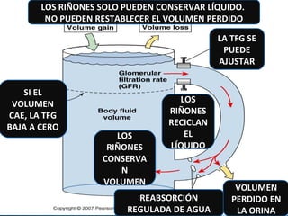 EQUILIBRIO HIDROELECTROLÍTICOEQUILIBRIO HIDROELECTROLÍTICO
DR. SERGIO CIFUENTES G.DR. SERGIO CIFUENTES G.
LOS RIÑONES SOLO PUEDEN CONSERVAR LÍQUIDO.
NO PUEDEN RESTABLECER EL VOLUMEN PERDIDO
SI EL
VOLUMEN
CAE, LA TFG
BAJA A CERO
VOLUMEN
PERDIDO EN
LA ORINA
LA TFG SE
PUEDE
AJUSTAR
REABSORCIÓN
REGULADA DE AGUA
LOS
RIÑONES
RECICLAN
EL
LÍQUIDO
LOS
RIÑONES
CONSERVA
N
VOLUMEN
 