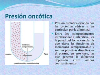 Presión oncótica
 Presión osmótica ejercida por
las proteínas séricas y, en
particular, por la albúmina.
 Entre los comp...