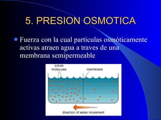 5. PRESION OSMOTICA Fuerza con la cual particulas osmóticamente activas atraen agua a traves de una membrana semipermeable 