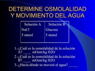 DETERMINE OSMOLALIDAD Y MOVIMIENTO DEL AGUA 1.-¿Cuál es la osmolalidad de la solución A? ____  mOsm/kg H2O 2.-¿Cuál es la osmolalidad de la solución B? ____  mOsm/kg H2O 3.-¿Hacia dónde se moverá el agua? _____ Solución A NaCl 5 mmol Solución B Glucosa 5 mmol 
