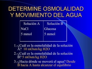 DETERMINE OSMOLALIDAD Y MOVIMIENTO DEL AGUA 1.-¿Cuál es la osmolalidad de la solución A?  10 mOsm/kg H2O 2.-¿Cuál es la osmolalidad de la solución B?  5 mOsm/kg H2O 3.-¿Hacia dónde se moverá el agua?  Desde B hacia A hasta alcanzar el equilibrio Solución A NaCl 5 mmol Solución B Glucosa 5 mmol 