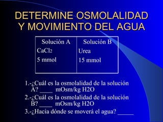 DETERMINE OSMOLALIDAD Y MOVIMIENTO DEL AGUA 1.-¿Cuál es la osmolalidad de la solución A? ____  mOsm/kg H2O 2.-¿Cuál es la osmolalidad de la solución B? ____  mOsm/kg H2O 3.-¿Hacia dónde se moverá el agua? _____ Solución A CaCl 2 5 mmol Solución B Urea  15 mmol 