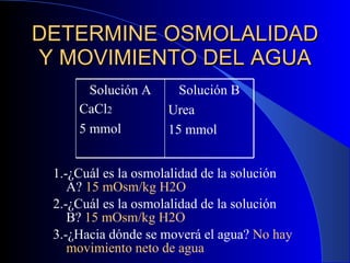 DETERMINE OSMOLALIDAD Y MOVIMIENTO DEL AGUA 1.-¿Cuál es la osmolalidad de la solución A?  15 mOsm/kg H2O 2.-¿Cuál es la osmolalidad de la solución B?  15 mOsm/kg H2O 3.-¿Hacia dónde se moverá el agua?  No hay movimiento neto de agua Solución A CaCl 2 5 mmol Solución B Urea  15 mmol 