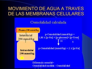 MOVIMIENTO DE AGUA A TRAVES DE LAS MEMBRANAS CELULARES 18 6 