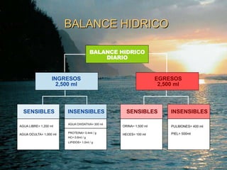 BALANCE HIDRICO 