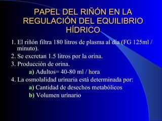 PAPEL DEL RI ÑÓN EN LA REGULACIÓN DEL EQUILIBRIO HÍDRICO 1. El riñón filtra 180 litros de plasma al día (FG 125ml / minuto). 2. Se excretan 1.5 litros por la orina. 3. Producción de orina.   a)  Adultos= 40-80 ml / hora 4. La osmolalidad urinaria est á determinada por:   a)  Cantidad de desechos metab ólicos   b)  Volumen urinario 