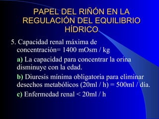 PAPEL DEL RI ÑÓN EN LA REGULACIÓN DEL EQUILIBRIO HÍDRICO 5. Capacidad renal máxima de  concentración= 1400 mOsm / kg a)  La capacidad para concentrar la orina disminuye con la edad. b)  Diuresis m ínima obligatoria para eliminar desechos metabólicos (20ml / h) = 500ml / día. c)   Enfermedad renal < 20ml / h  