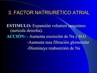 3. FACTOR NATRIURÉTICO ATRIAL ESTIMULO:  Expansión volumen sanguíneo (aurícula derecha). ACCIÓN:  - Aumenta excreción de Na y H 2 O   -Aumenta tasa filtración glomerular   -Disminuye reabsorción de Na 