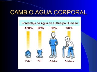 CAMBIO AGUA CORPORAL 