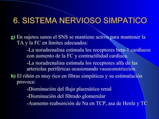 6. SISTEMA NERVIOSO SIMPATICO g)  En sujetos sanos el SNS se mantiene activo para mantener la TA y la FC en límites adecuados: -La noradrenalina estimula los receptores beta-1 cardíacos  con aumento de la FC y contractilidad cardíaca. -La noradrenalina estimula los receptores alfa de las  arteriolas periféricas ocasionando vasoconstricción. h)  El riñón es muy rico en fibras simpáticas y su estimulación provoca: -Disminución del flujo plasmático renal -Disminución del filtrado glomerular -Aumento reabsorción de Na en TCP, asa de Henle y TC 