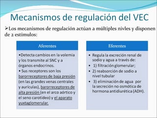 Los mecanismos de regulación actúan a múltiples nivles y disponen de 2 estímulos:  