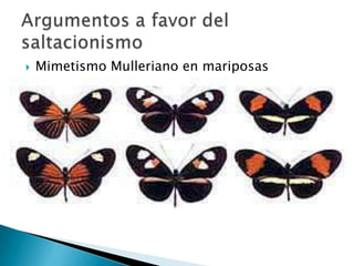  Mimetismo Mulleriano en mariposas
 