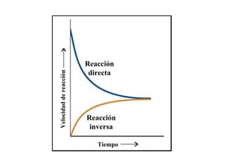 Reacción directa Reacción inversa Velocidad de reacción Tiempo 