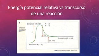 Energía potencial relativa vs transcurso 
de una reacción 
 