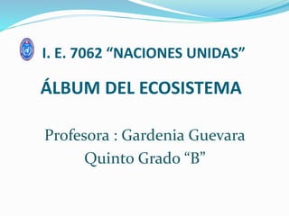 ÁLBUM DEL ECOSISTEMA
Profesora : Gardenia Guevara
Quinto Grado “B”
I. E. 7062 “NACIONES UNIDAS”
 