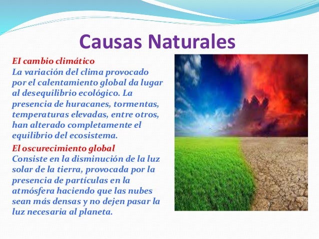 Equilibrio y desequilibrio del ecosistema 4