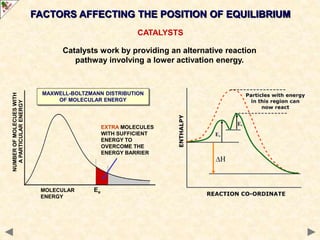 EQUILIBRIUM.ppt