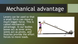 Mechanical advantage
Levers can be used so that
a small force can move a
much bigger force. This is
called mechanical
advantage. In our bodies
bones act as lever arms,
joints act as pivots, and
muscles provide the effort
forces to move loads.
 