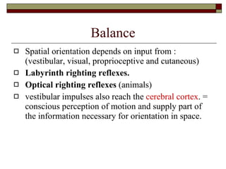 Balance Spatial orientation depends on input from : (vestibular, visual, proprioceptive and cutaneous) Labyrinth righting reflexes.   Optical righting reflexes  (animals) vestibular impulses also reach the  cerebral cortex . = conscious perception of motion and supply part of the information necessary for orientation in space.  