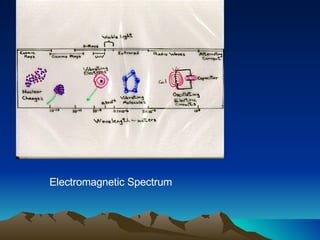Electromagnetic Spectrum 