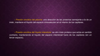 › Presión oncótica del plasma: una atracción de las proteínas semejante a la de un
imán, mantiene el líquido del espacio intravascular en el interior de los capilares.
› Presión oncótica del líquido intersticial: es otro imán proteico que actúa en sentido
contrario, manteniendo el líquido del espacio intersticial fuera de los capilares (en un
tercer espacio).
 