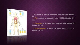 Se consideran pérdidas insensibles las que ocurren a través
de:
• Piel: mediante la sudoración, entre 0-1.000 ml (media: 600
ml).
• Pulmones: en forma de vapor de agua, entre 300-400 ml
(media: 350 ml).
• Tubo digestivo: en forma de heces, entre 100-200 ml
(media: 150 ml).
 