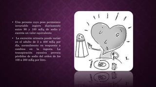 • Una persona cuyo peso permanece
invariable ingiere diariamente
entre 90 y 100 mEq de sodio y
excreta un valor equivalente.
• La excreción urinaria puede variar
en el adulto de 2 a 400 mEq por
día, normalmente en respuesta a
cambios en la ingesta. La
transpiración excesiva provoca
pérdidas de sodio del orden de los
100 a 200 mEq por litro.
 