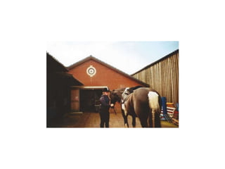Equine Presentation
