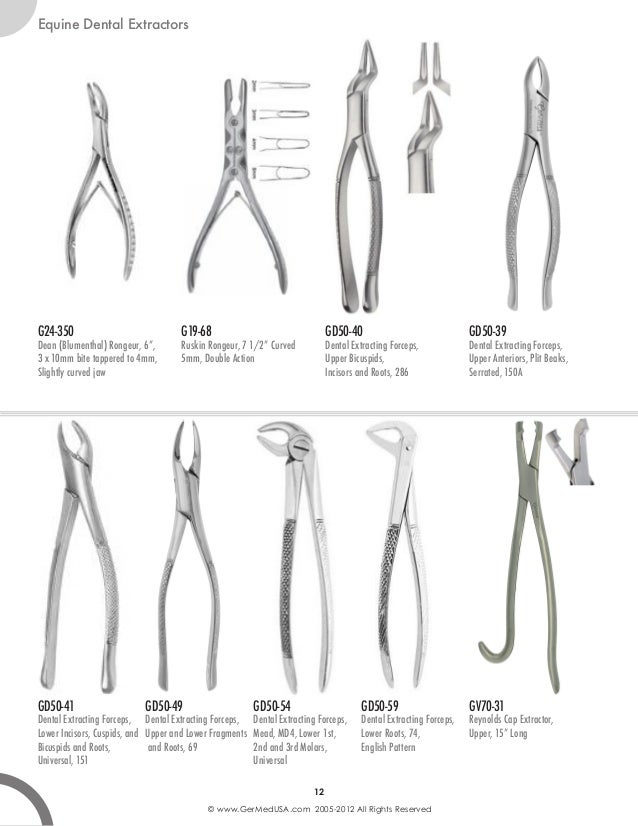 Equine surgical instruments