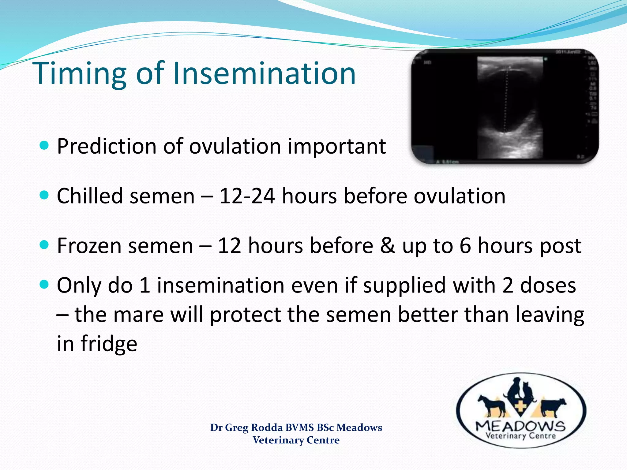 Timing of Insemination
 Prediction of ovulation important
 Chilled semen – 12-24 hours before ovulation
 Frozen semen – 12 hours before & up to 6 hours post
 Only do 1 insemination even if supplied with 2 doses
– the mare will protect the semen better than leaving
in fridge
Dr Greg Rodda BVMS BSc Meadows
Veterinary Centre
 