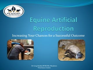 Increasing Your Chances for a Successful Outcome
Dr Greg Rodda BVMS BSc Meadows
Veterinary Centre
 