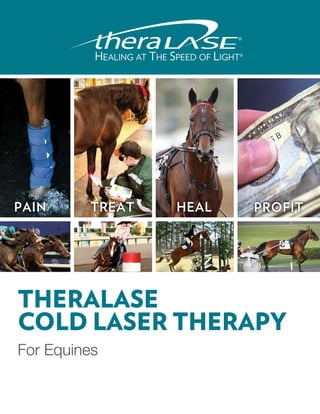 PAIN     TREAT   HEAL   PROFIT




THERALASE
COLD LASER THERAPY
For Equines
 