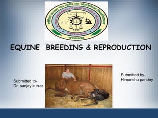 EQUINE BREEDING & REPRODUCTION
Submitted to-
Dr. sanjay kumar
Submitted by-
Himanshu pandey
 