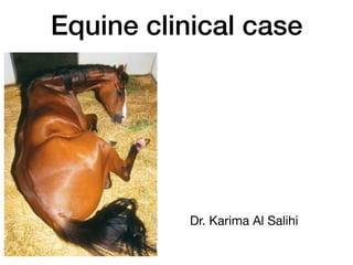 Equine clinical case
Dr. Karima Al Salihi
 