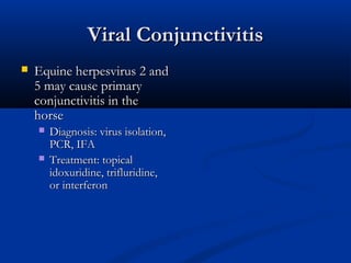 Viral ConjunctivitisViral Conjunctivitis
 Equine herpesvirus 2 andEquine herpesvirus 2 and
5 may cause primary5 may cause...
