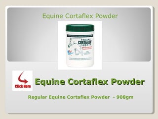 Equine Cortaflex Powder Regular Equine Cortaflex Powder  - 908gm Equine Cortaflex Powder 