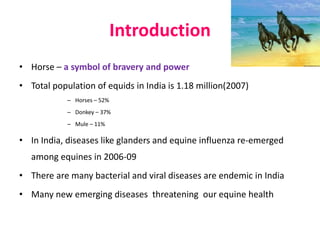 Introduction
• Horse – a symbol of bravery and power
• Total population of equids in India is 1.18 million(2007)
– Horses – 52%
– Donkey – 37%
– Mule – 11%
• In India, diseases like glanders and equine influenza re-emerged
among equines in 2006-09
• There are many bacterial and viral diseases are endemic in India
• Many new emerging diseases threatening our equine health
 