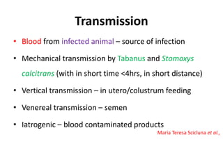Transmission
• Blood from infected animal – source of infection
• Mechanical transmission by Tabanus and Stomoxys
calcitrans (with in short time <4hrs, in short distance)
• Vertical transmission – in utero/colustrum feeding
• Venereal transmission – semen
• Iatrogenic – blood contaminated products
Maria Teresa Scicluna et al.,
 