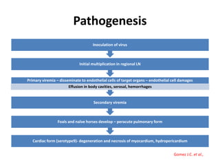 Pathogenesis
Cardiac form (serotype9)- degeneration and necrosis of myocardium, hydropericardium
Foals and naïve horses develop – peracute pulmonary form
Secondary viremia
Primary viremia – disseminate to endothelial cells of target organs – endothelial cell damages
Effusion in body cavities, serosal, hemorrhages
Initial multiplication in regional LN
Inoculation of virus
Gomez J.C. et al.,
 