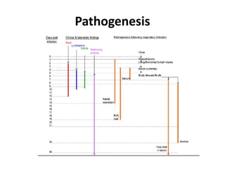 Pathogenesis
 