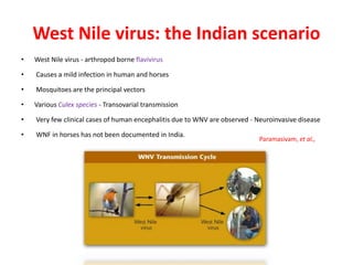 West Nile virus: the Indian scenario
• West Nile virus - arthropod borne flavivirus
• Causes a mild infection in human and horses
• Mosquitoes are the principal vectors
• Various Culex species - Transovarial transmission
• Very few clinical cases of human encephalitis due to WNV are observed - Neuroinvasive disease
• WNF in horses has not been documented in India.
Paramasivam, et al.,
 