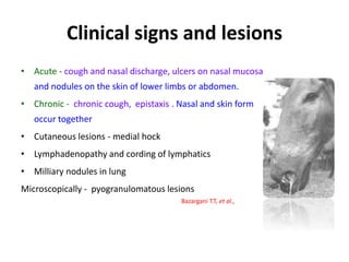 Clinical signs and lesions
• Acute - cough and nasal discharge, ulcers on nasal mucosa
and nodules on the skin of lower limbs or abdomen.
• Chronic - chronic cough, epistaxis . Nasal and skin form
occur together
• Cutaneous lesions - medial hock
• Lymphadenopathy and cording of lymphatics
• Milliary nodules in lung
Microscopically - pyogranulomatous lesions
Bazargani T.T, et al.,
 