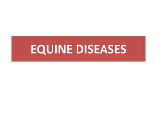 EQUINE DISEASES
 