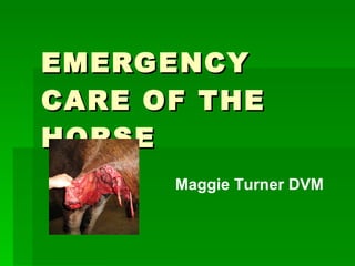 EMERGENCY CARE OF THE HORSE Maggie Turner DVM 